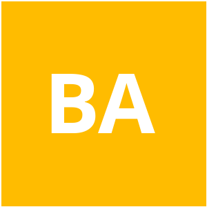 Business Analyst